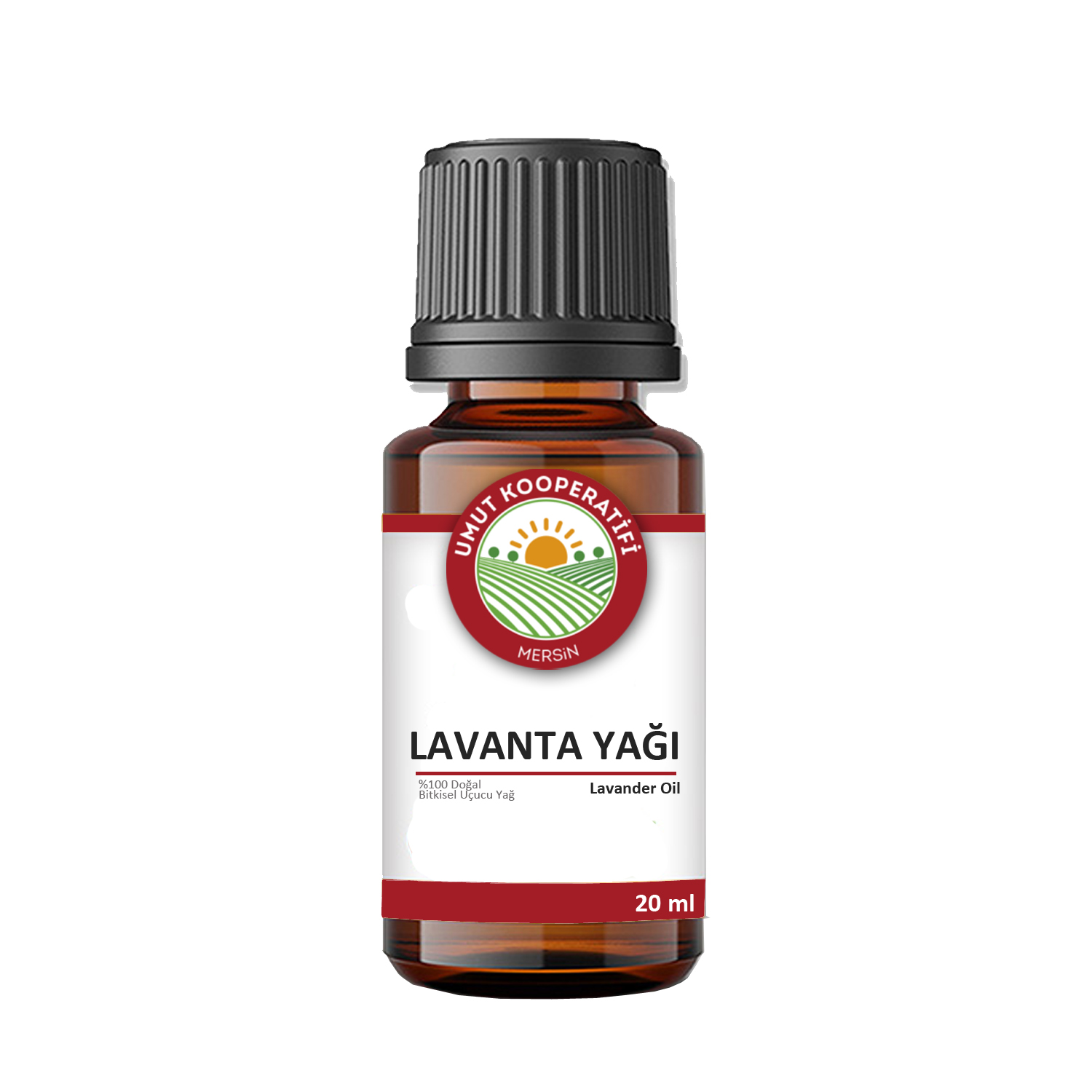 Doğal Lavanta Yağı 20 ml – Katkısız | Umut Koop
